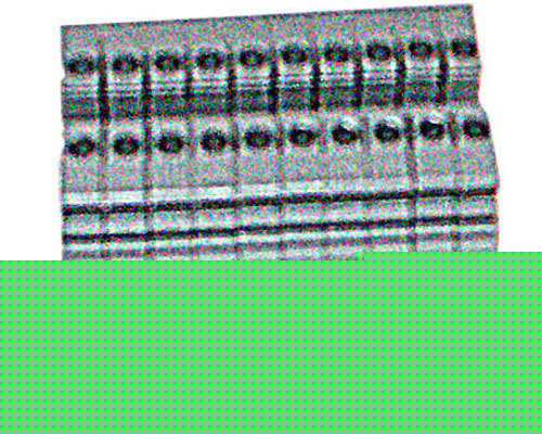 New entrelec terminal blocks - part # 115116.07