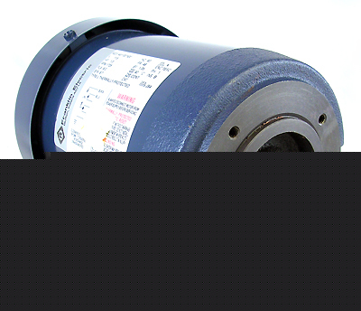 New franklin electric motor 1/3 hp 1725 rpm phase 1 